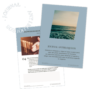 journal antibloqueos